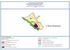 Карта градостроительного зонирования д.Малые Торошковичи