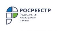ЕГРН пополнился сведениями о результатах ГКО двух категорий земель Новгородской области