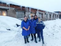  Фотоальбом СЕЛЬСКОЕ ХОЗЯЙСТВО Батецкого района