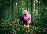 Что делать, если вы заблудились в лесу.