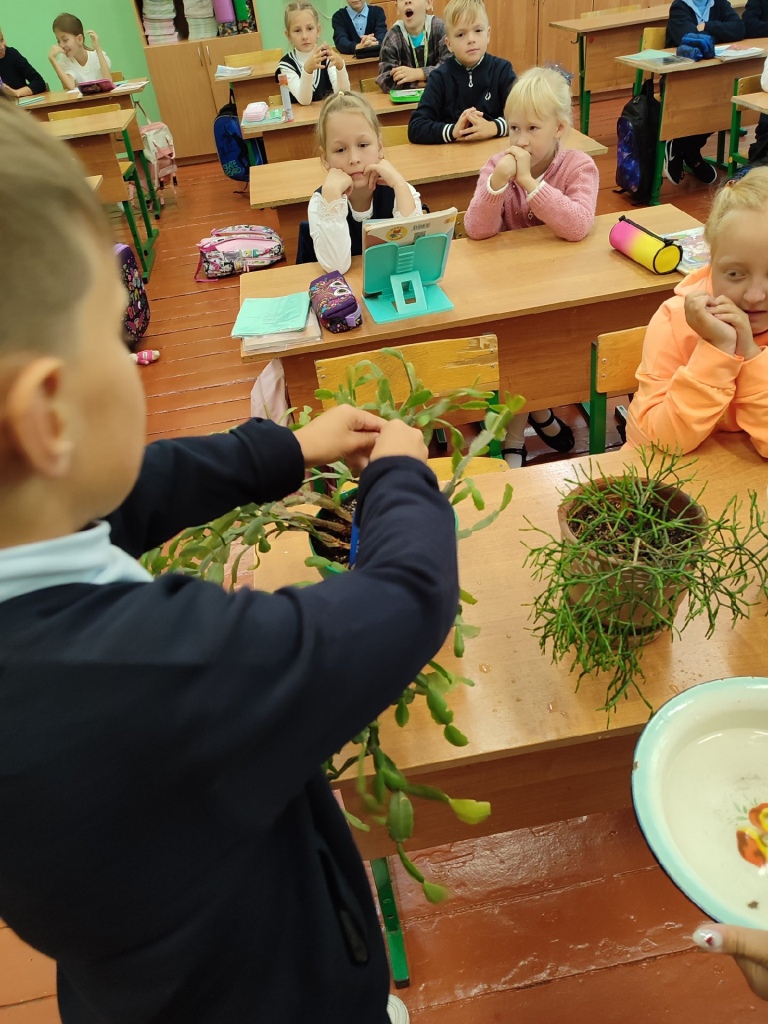 Всероссийская акция Капля жизни