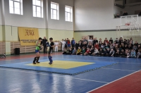 О проведении фестиваля боевых видов спорта, посвященного 70-летию Победы