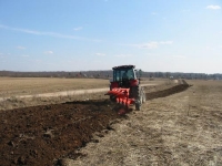 Сельское хозяйство