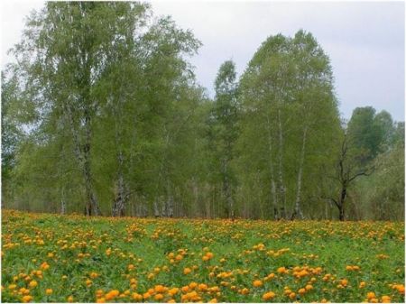 Природные объекты