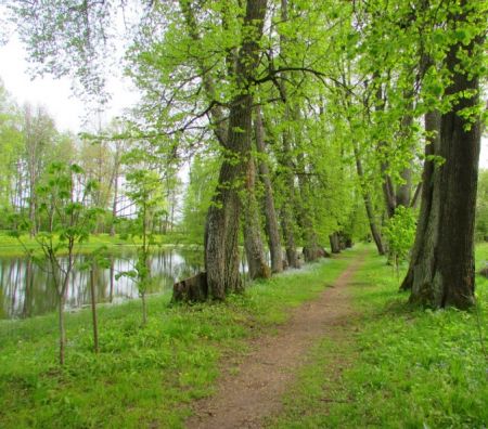 Памятники и достопримечательности