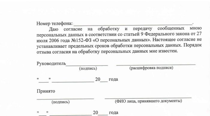 Проект постановления Администрации Батецкого муниципального района  "Об утверждении Положения о порядке размещения нестационарных торговых объектов на территории Батецкого муниципального района"