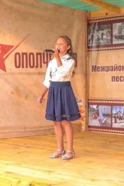 В Батецком районе состоялся историко-патриотический фестиваль &laquo;Дорогами ополченцев&raquo;