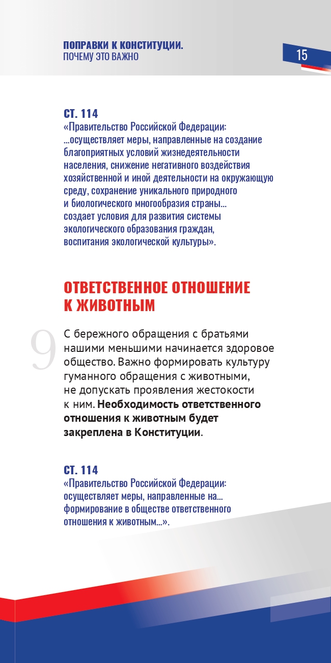 Поправки к Конституции. Почему это так важно